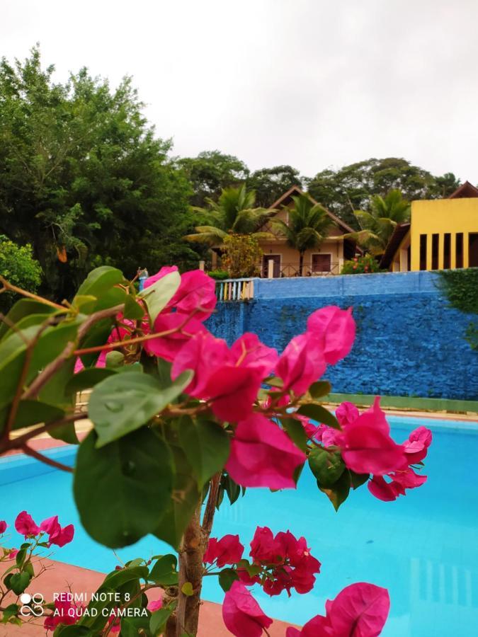 Guaramiranga-Ce Chale Do Rei Villa Luaran gambar