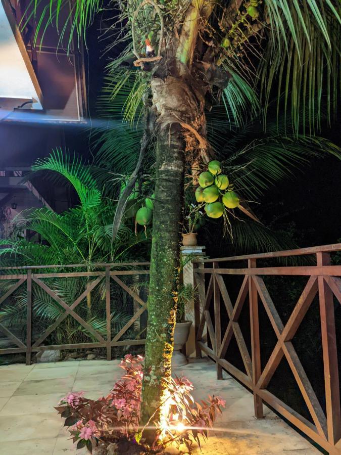 Guaramiranga-Ce Chale Do Rei Villa Luaran gambar